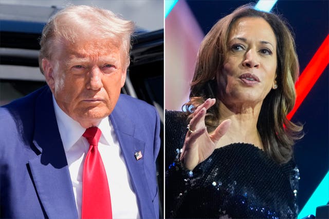 <p>Donald Trump (left) and Kamala Harris are deadlocked in the polls, prompting some to wonder what happens in the event of a tie in the Electoral College </p>