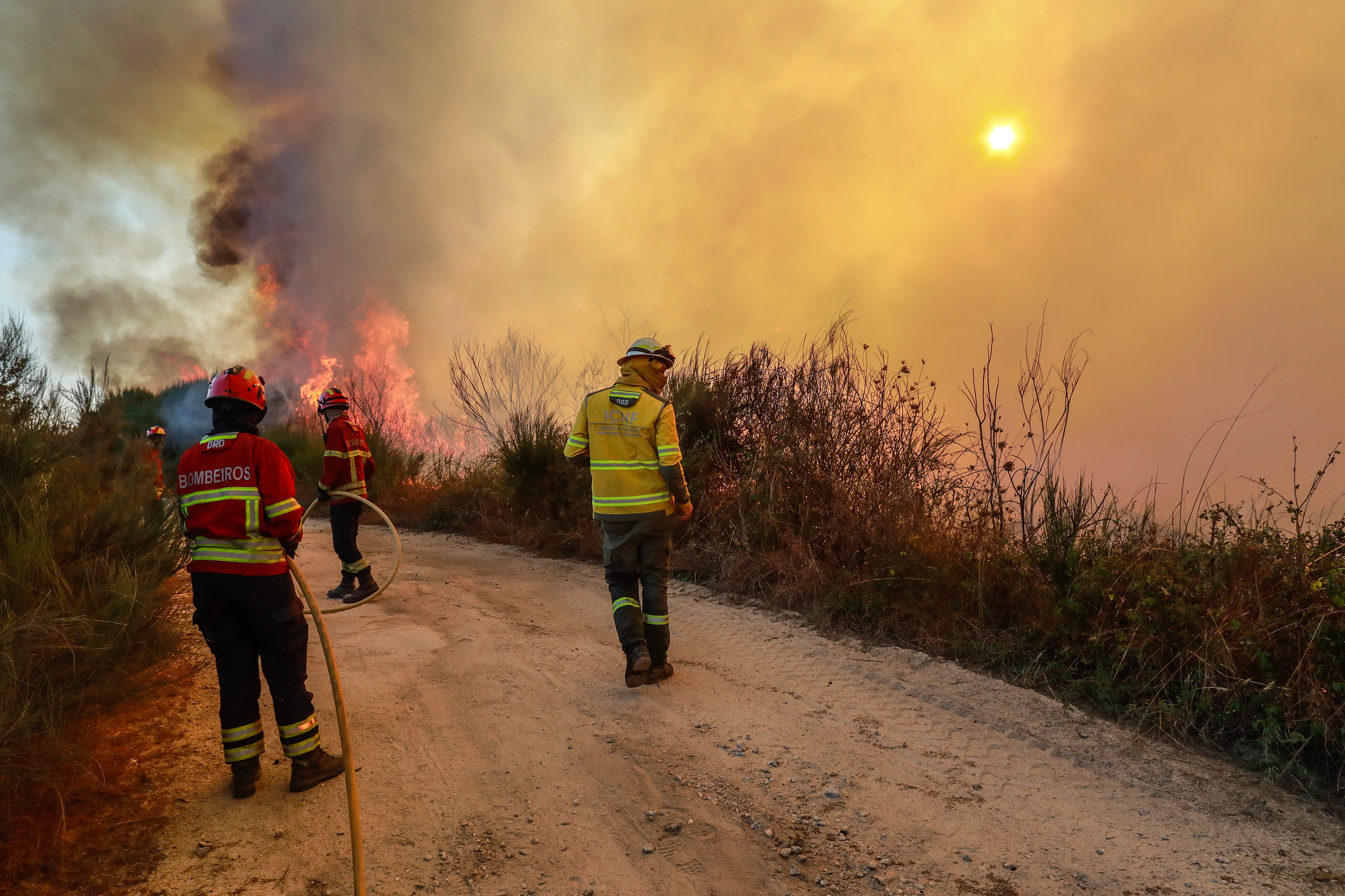 Bombeiros combatem incêndio na zona industrial junto à linha ferroviária do Norte, Nelas, Viseu, Portugal, 17 de setembro de 2024