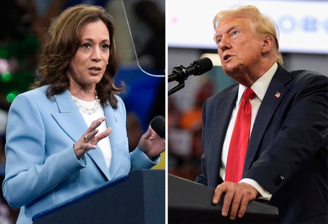 <p>Kamala Harris and Donald Trump </p>