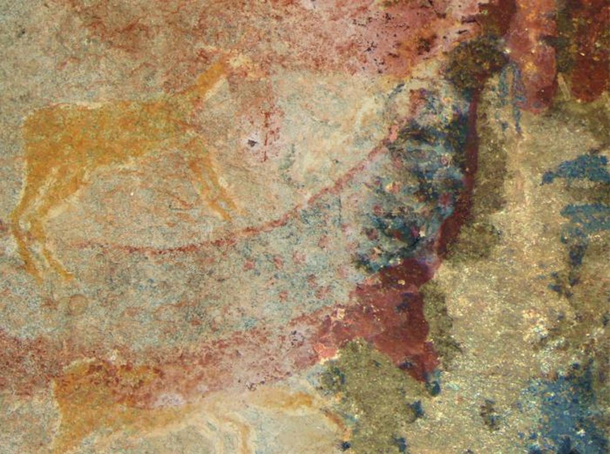 Mystery creature in South African rock art could be long-extinct species, study finds