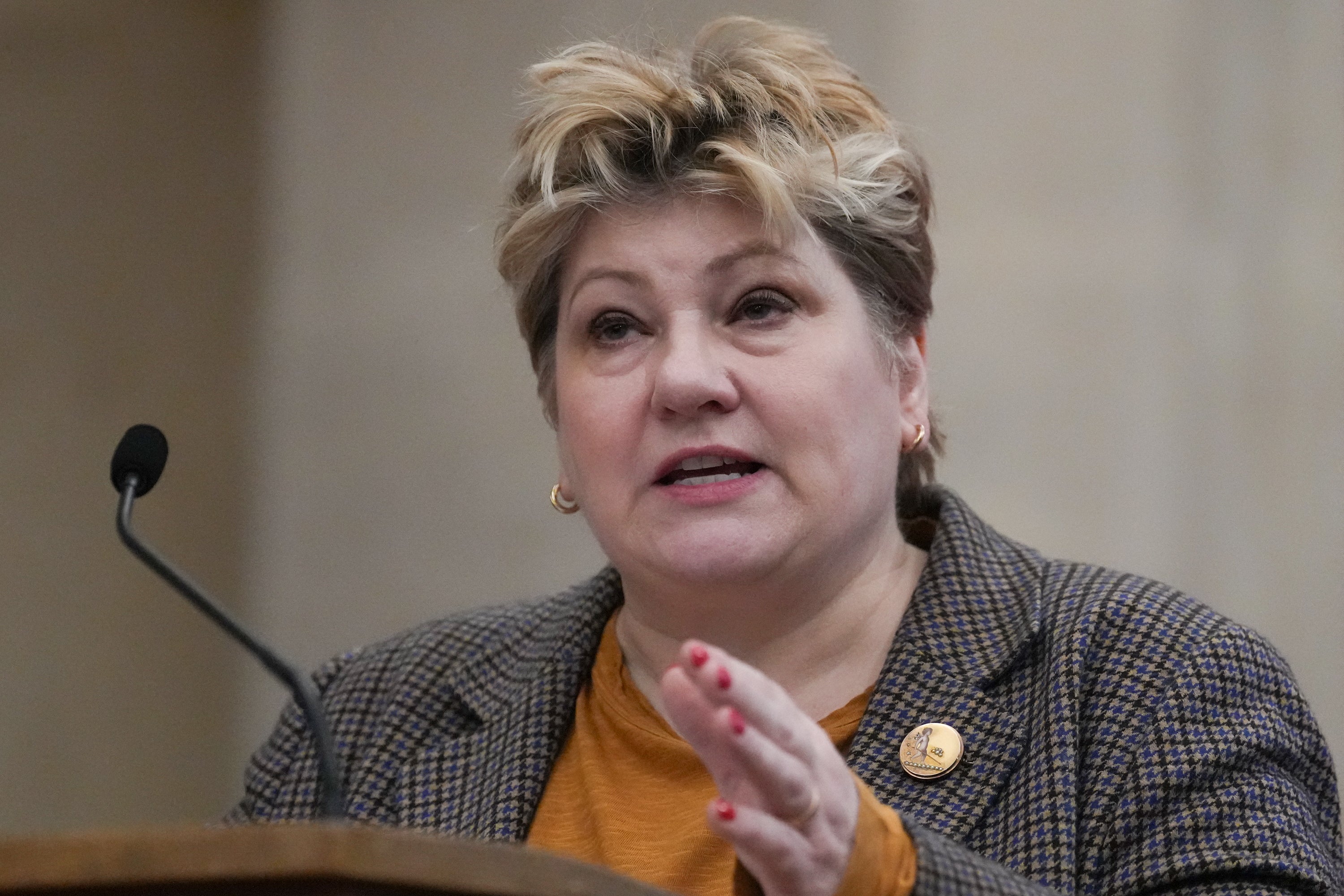 Ms Thornberry said Israel’s allies should be asking ‘what on earth are you doing?’
