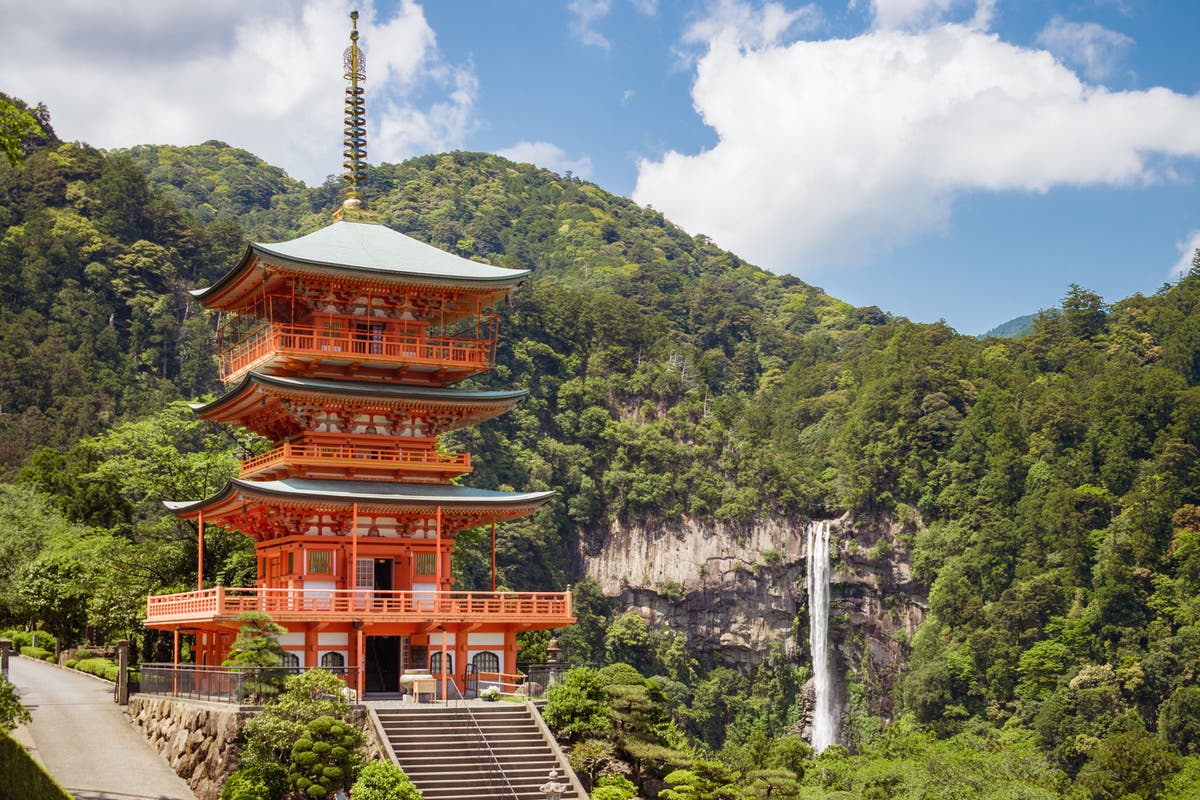 Japan Airlines free domestic flights: How to secure them