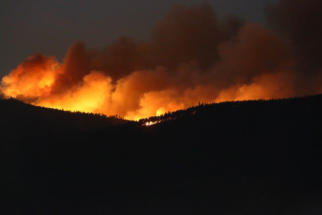 PORTUGAL-INCENDIOS