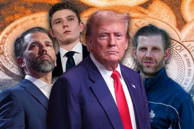 <p>The new crypto project is backed and promoted by Donald Trump and his three sons </p>