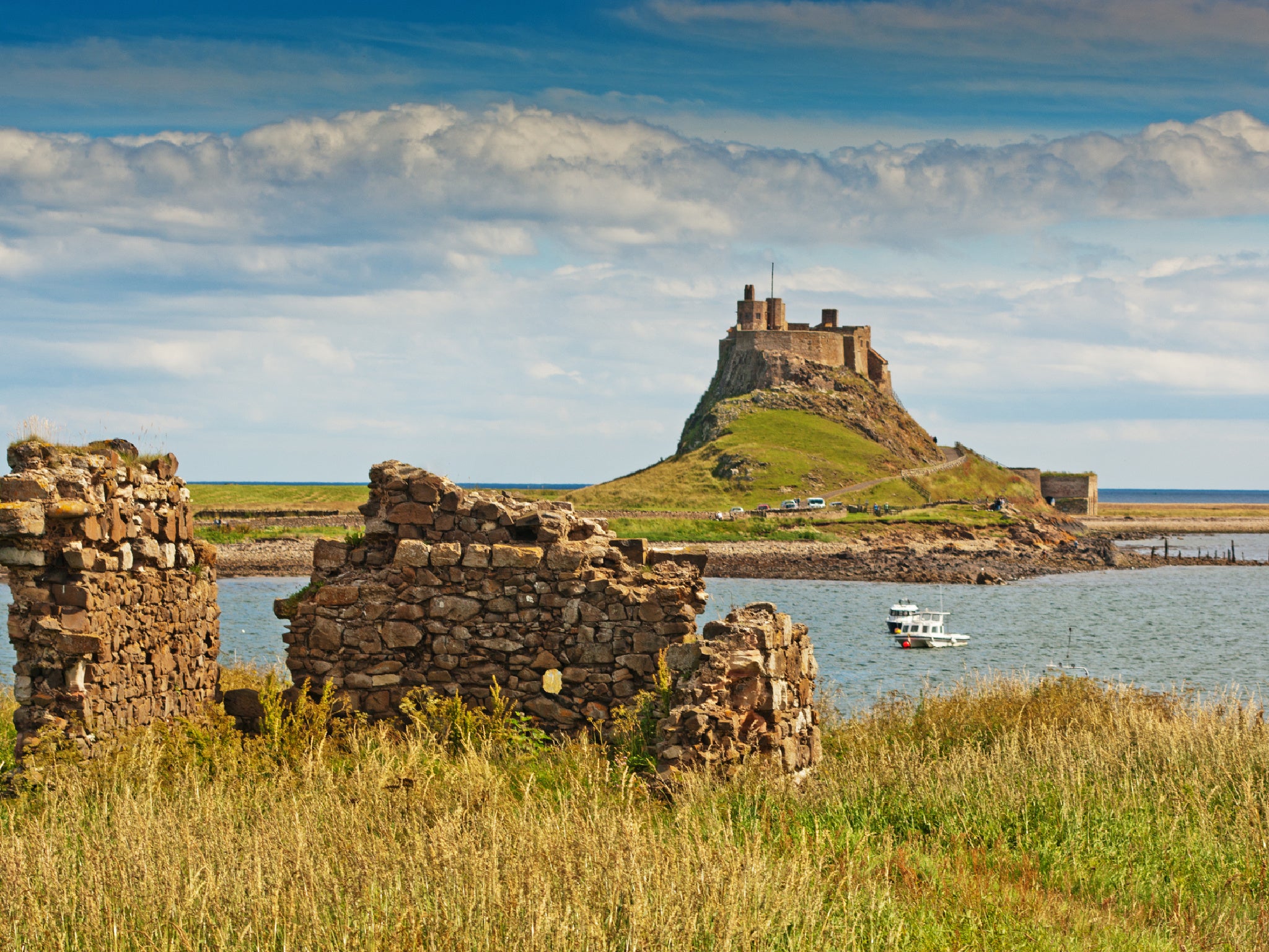 Observe aves marinhas e focas depois de explorar o interior do Castelo de Lindisfarne