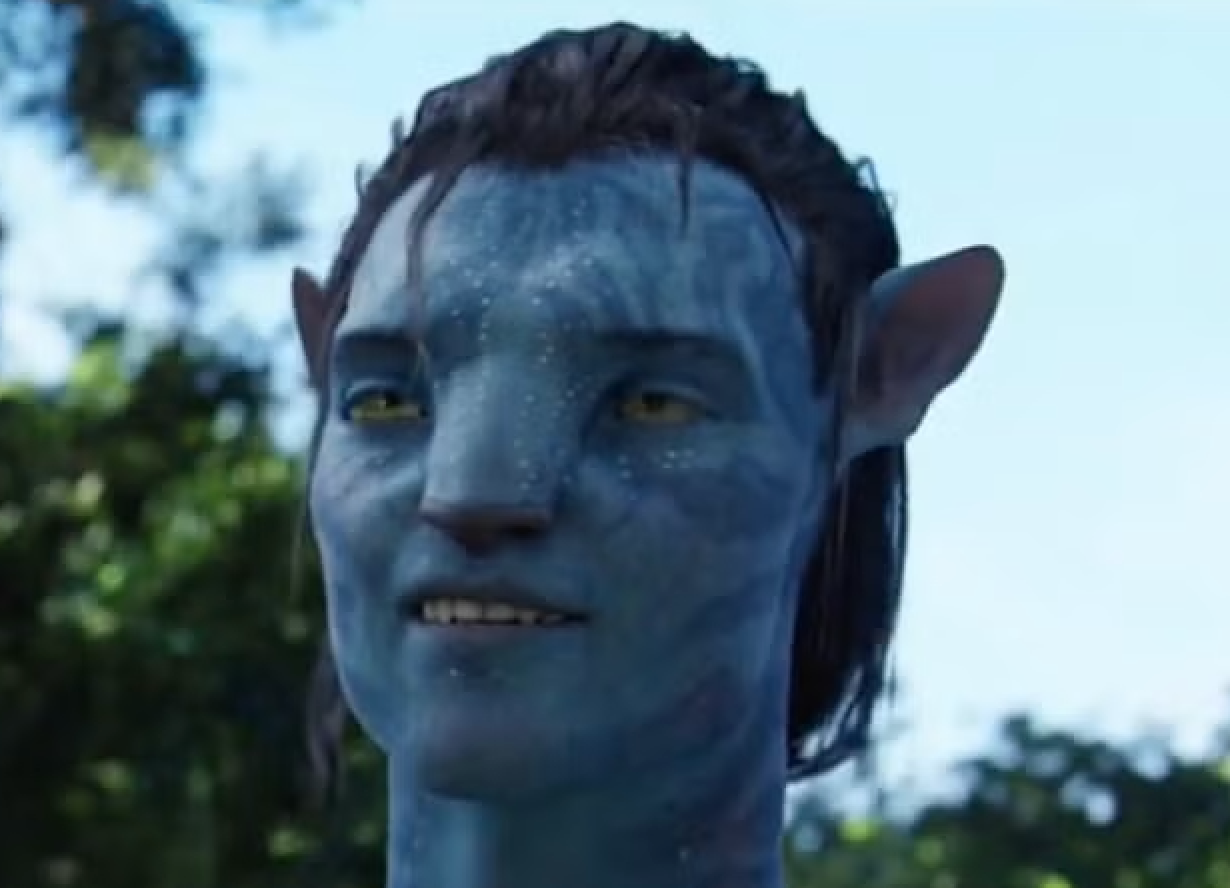 The dreadlock-interlocking display in ‘Avatar’ didn’t help things