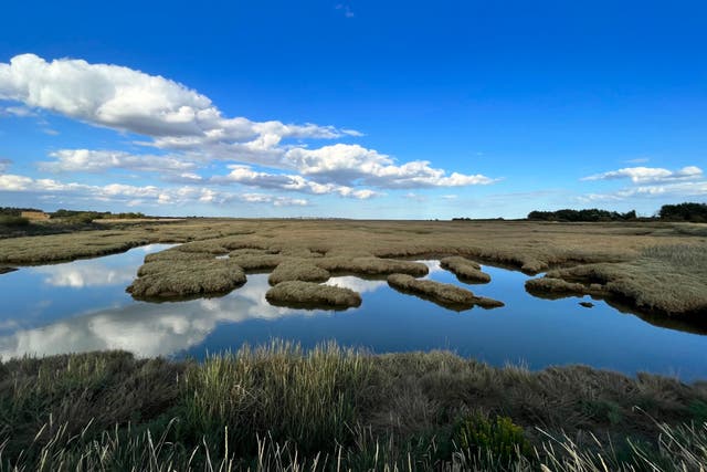 Saltmarsh at Abbotts Hall (Essex Wildlife Trust/PA)