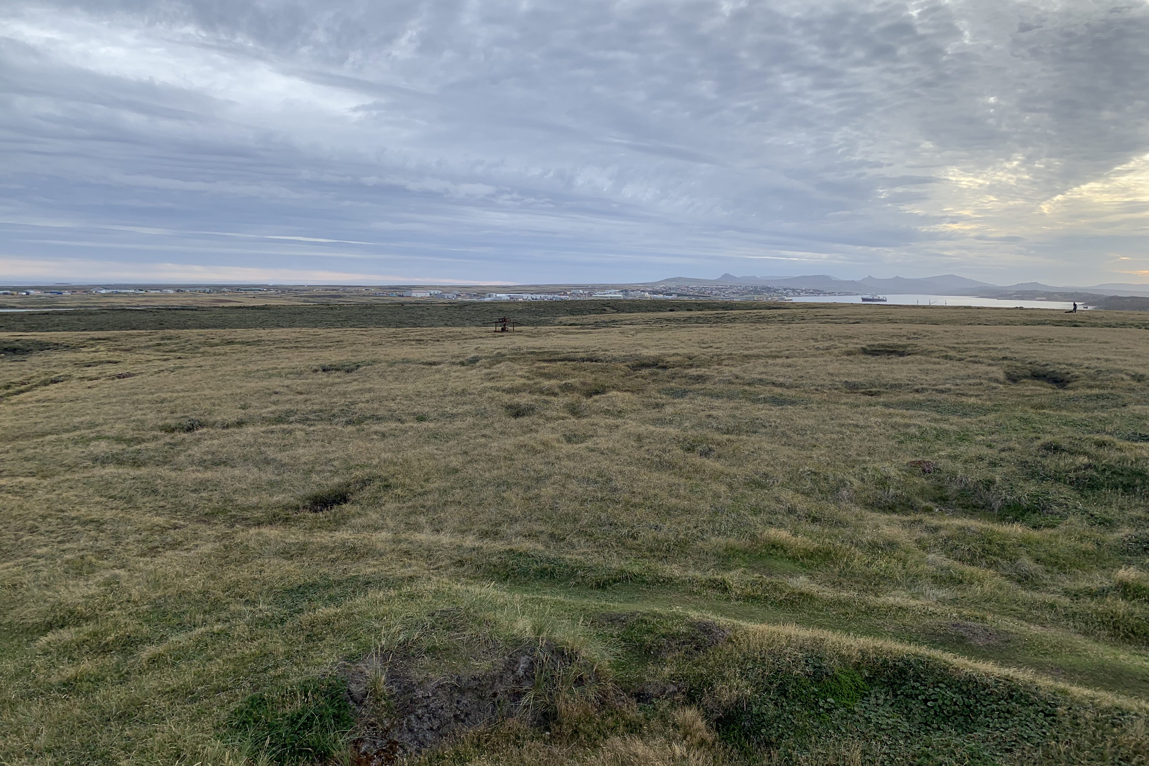 The treeless landscape of the Falkland Islands (University of Southampton/PA)