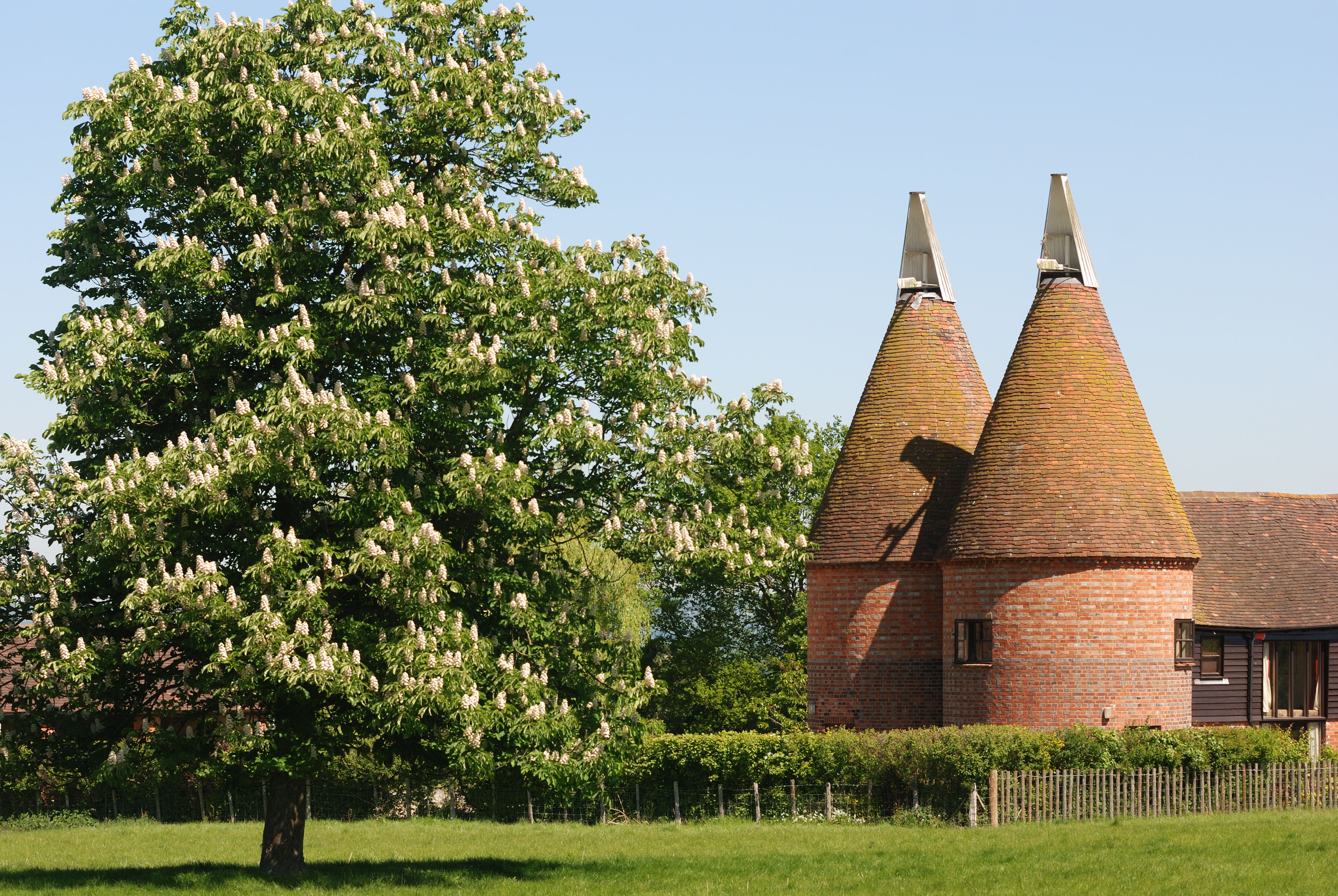 Oast houses in Kent