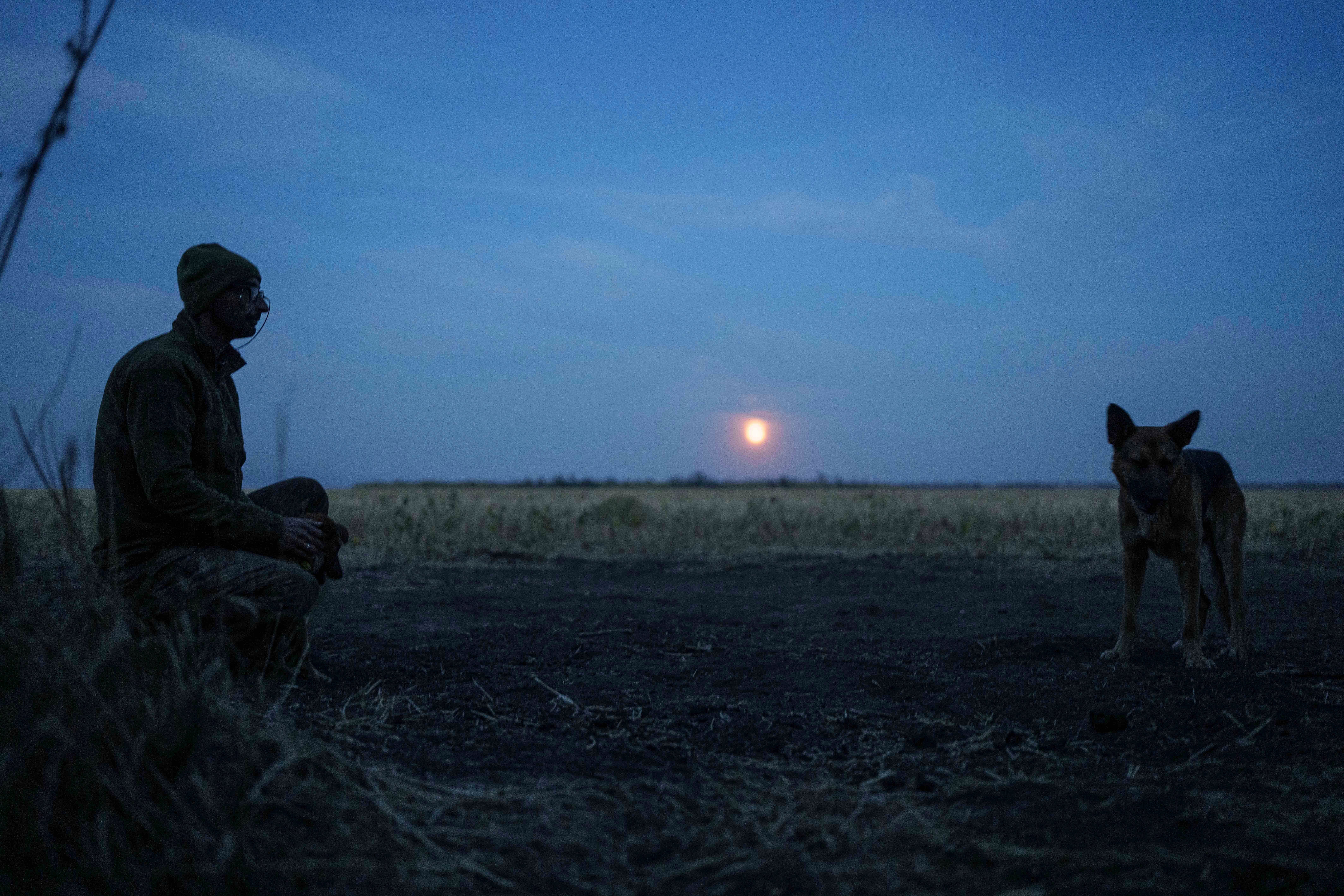 A Ukrainian serviceman of the 110th brigade pets dogs on his position at the frontline on Pokrovsk direction, Donetsk region, Ukraine