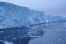 Much of Thwaites Glacier could be lost by 23rd century, experts say