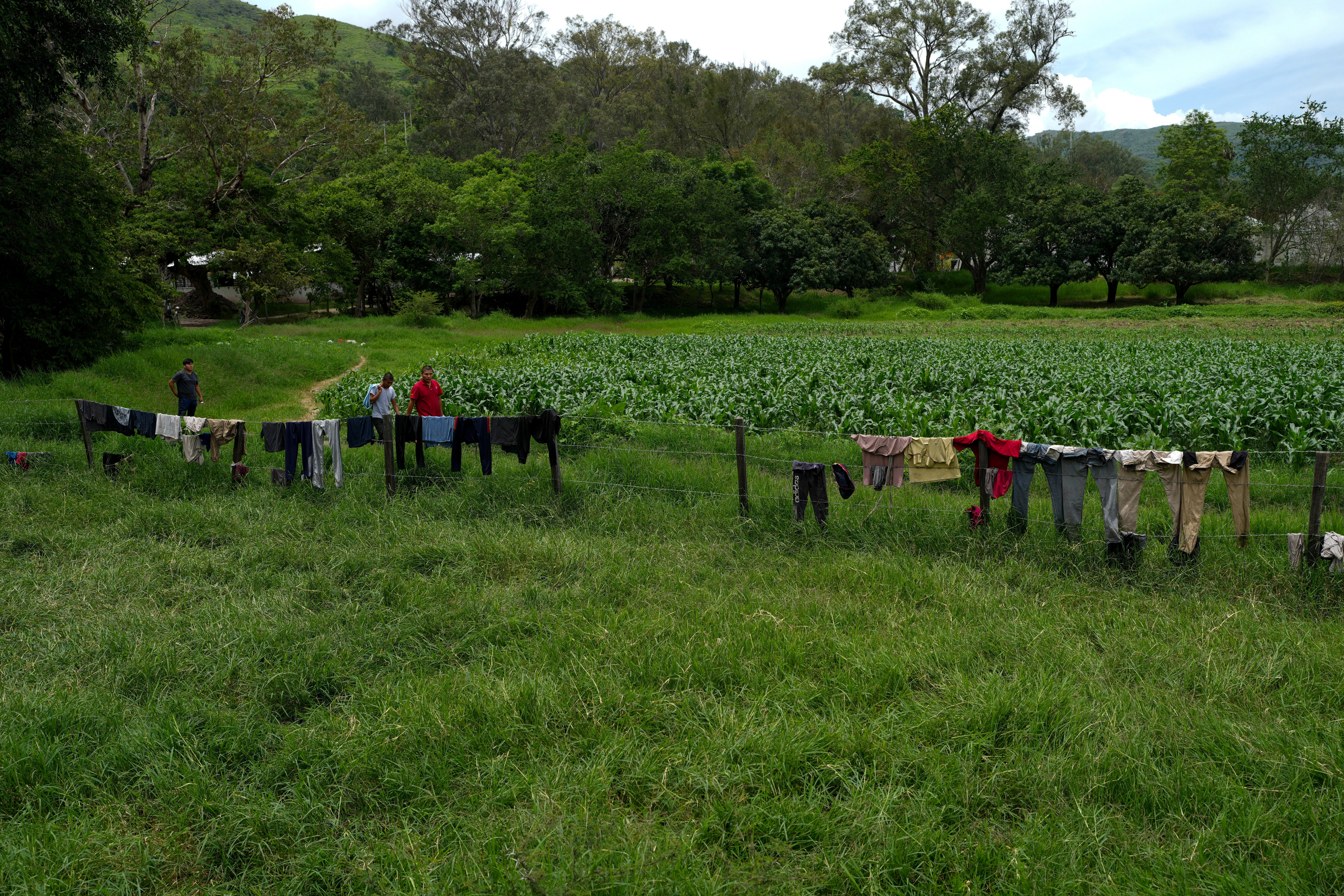 Mexico Missing Students