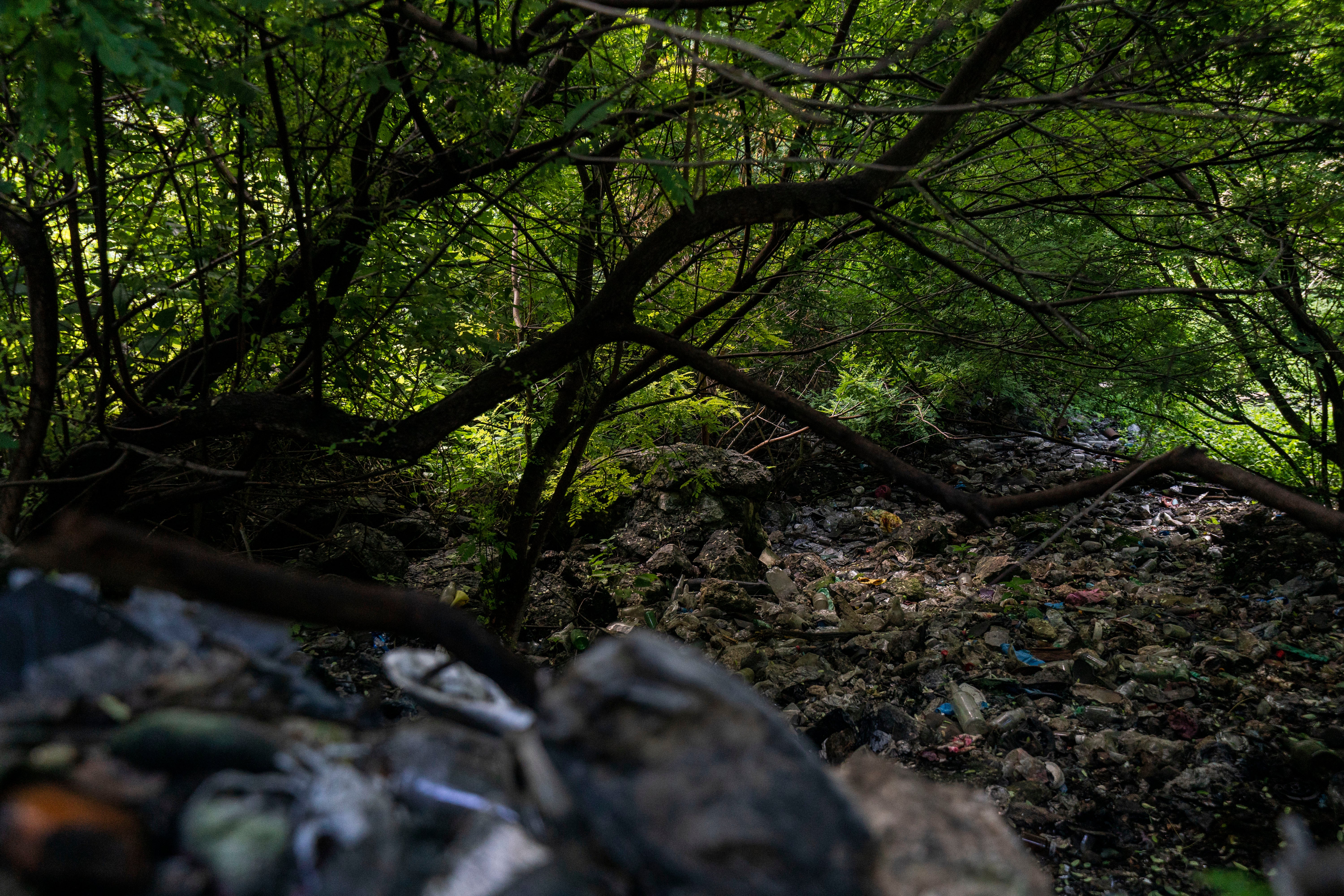 Mexico Missing Students Timeline