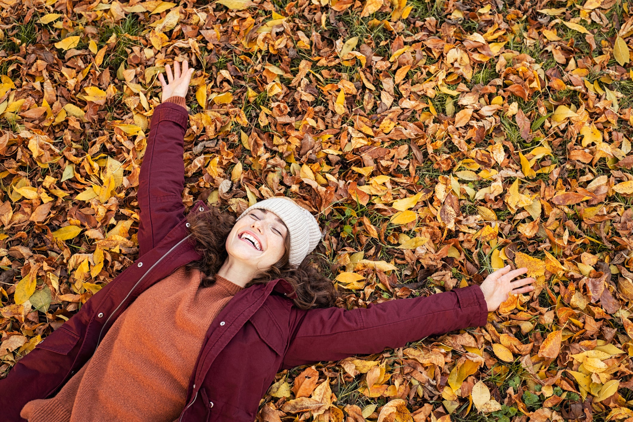 ‘For me, it’s very simple: I look for joy. Specifically: small joys. And my wildest and most primal joy is my love affair with the forest’