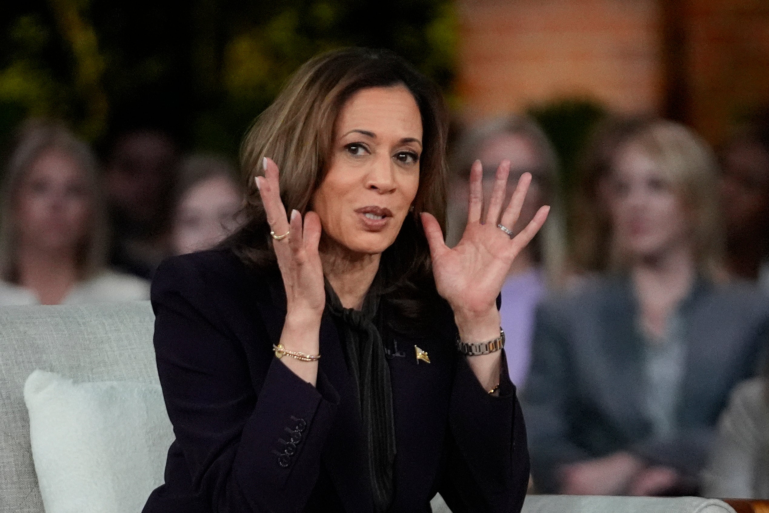 Kamala Hassirs took a jibe at Donald Trump’s ‘concept of a plan’ statement during an interview with Oprah Winfrey at a Michigan rally