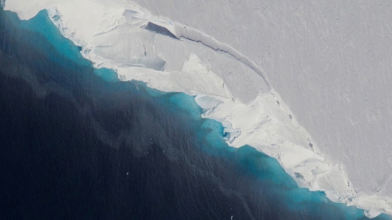 An area of the Thwaites Glacier, around two-thirds the size of New York City’s Manhattan borough, is lost. The West Anatarctic ice sheet has slowly been disintegrating, and scientists say that additional ice loss will accelerate within the next century.