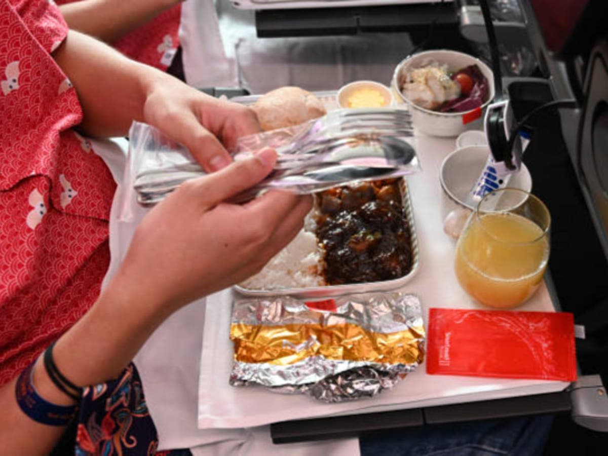 Plane forced to make emergency landing after passenger discovers mouse in her meal