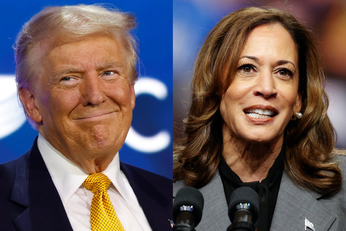 Harris surges ahead of Trump in latest national poll but swing states ...
