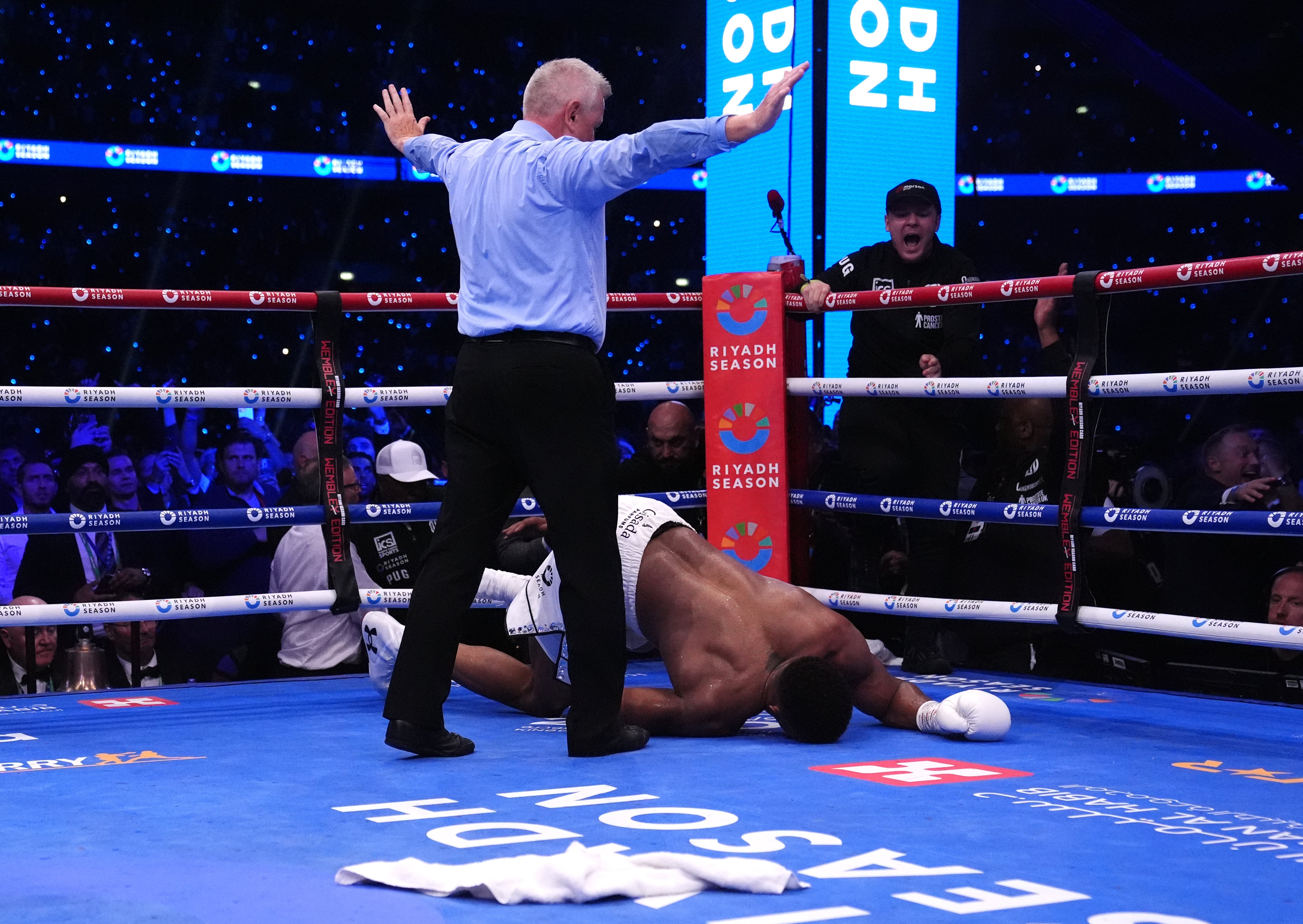 The referee stops the fight after Anthony Joshua is knocked down for a fourth time (Bradley Collyer/PA)