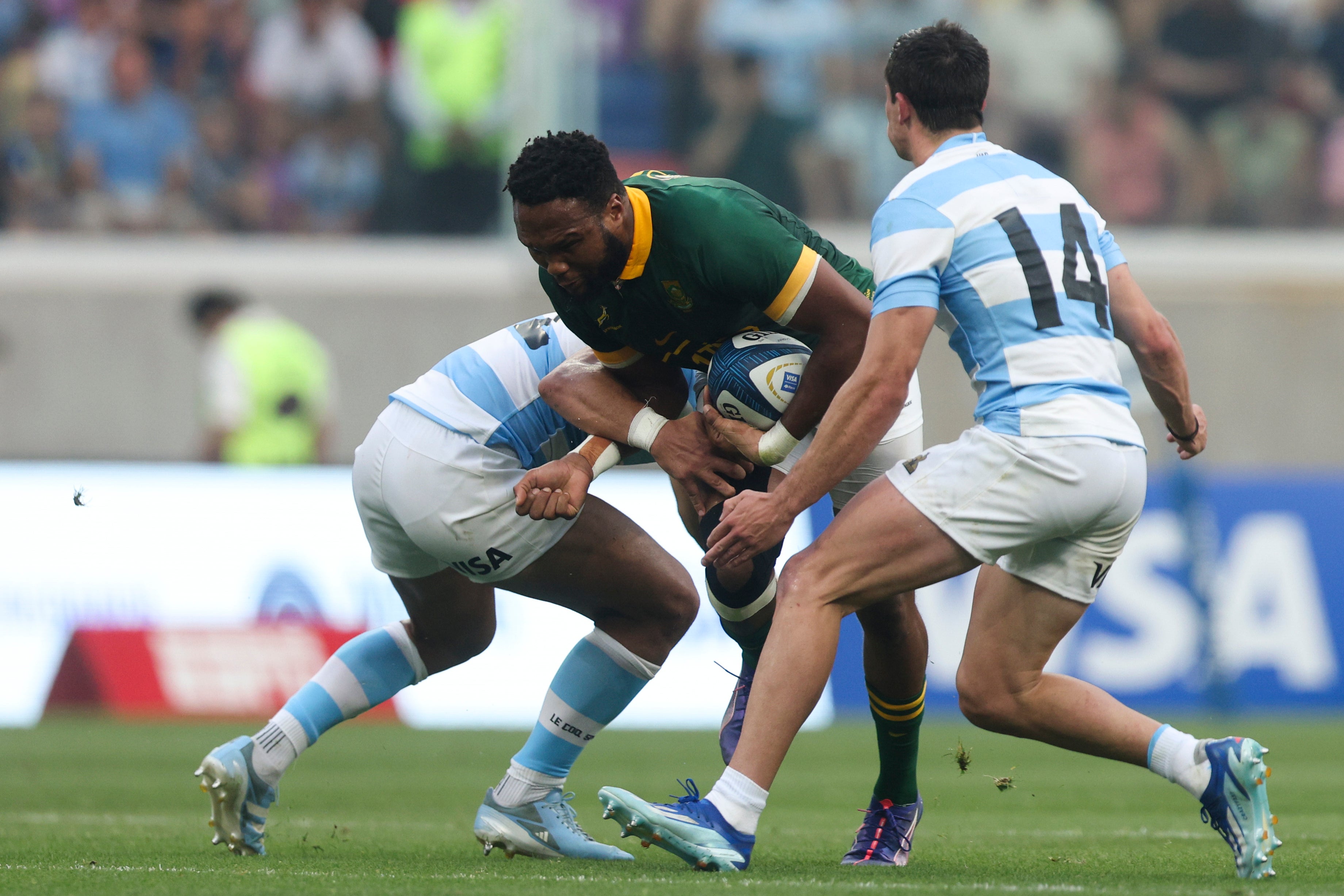 Rugby Championship Permutations What Do South Africa And Argentina 