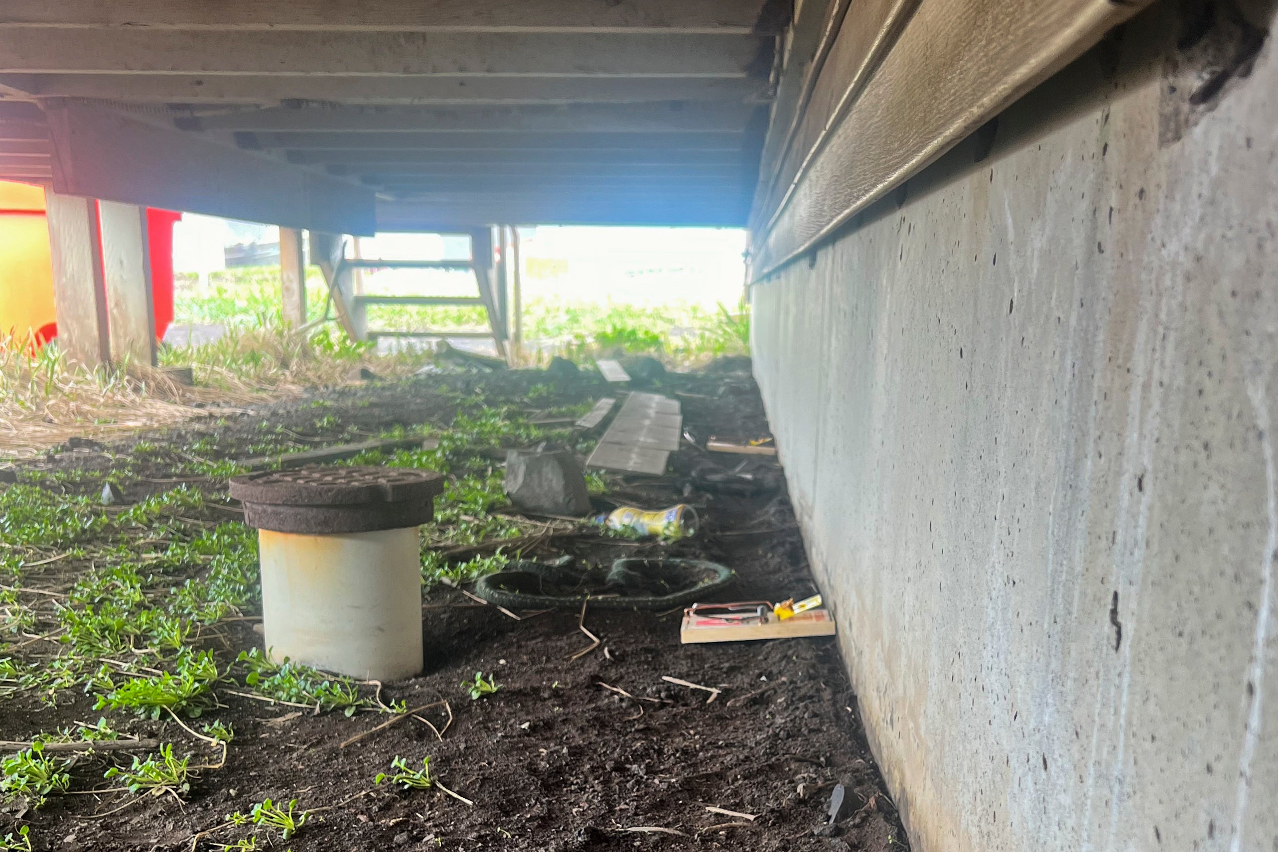 Alaska Eradicating Rats