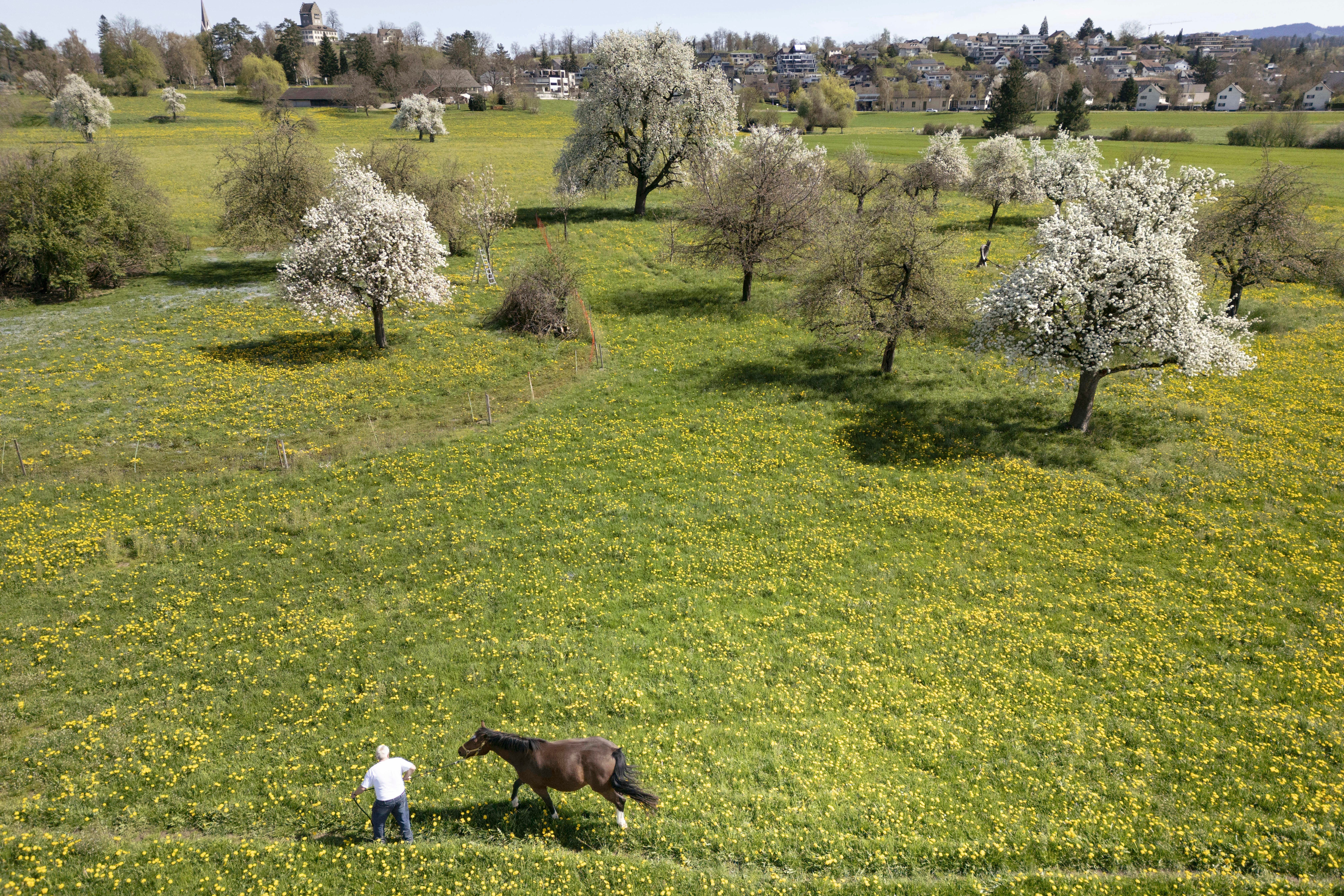 Switzerland Referendum Biodiversity