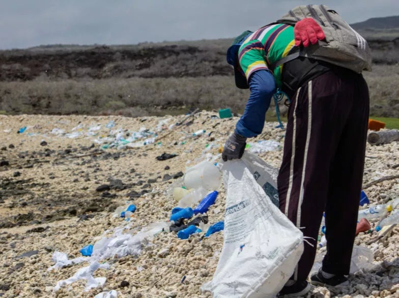 A man picks up litter from a beach in the Galapagos Islands