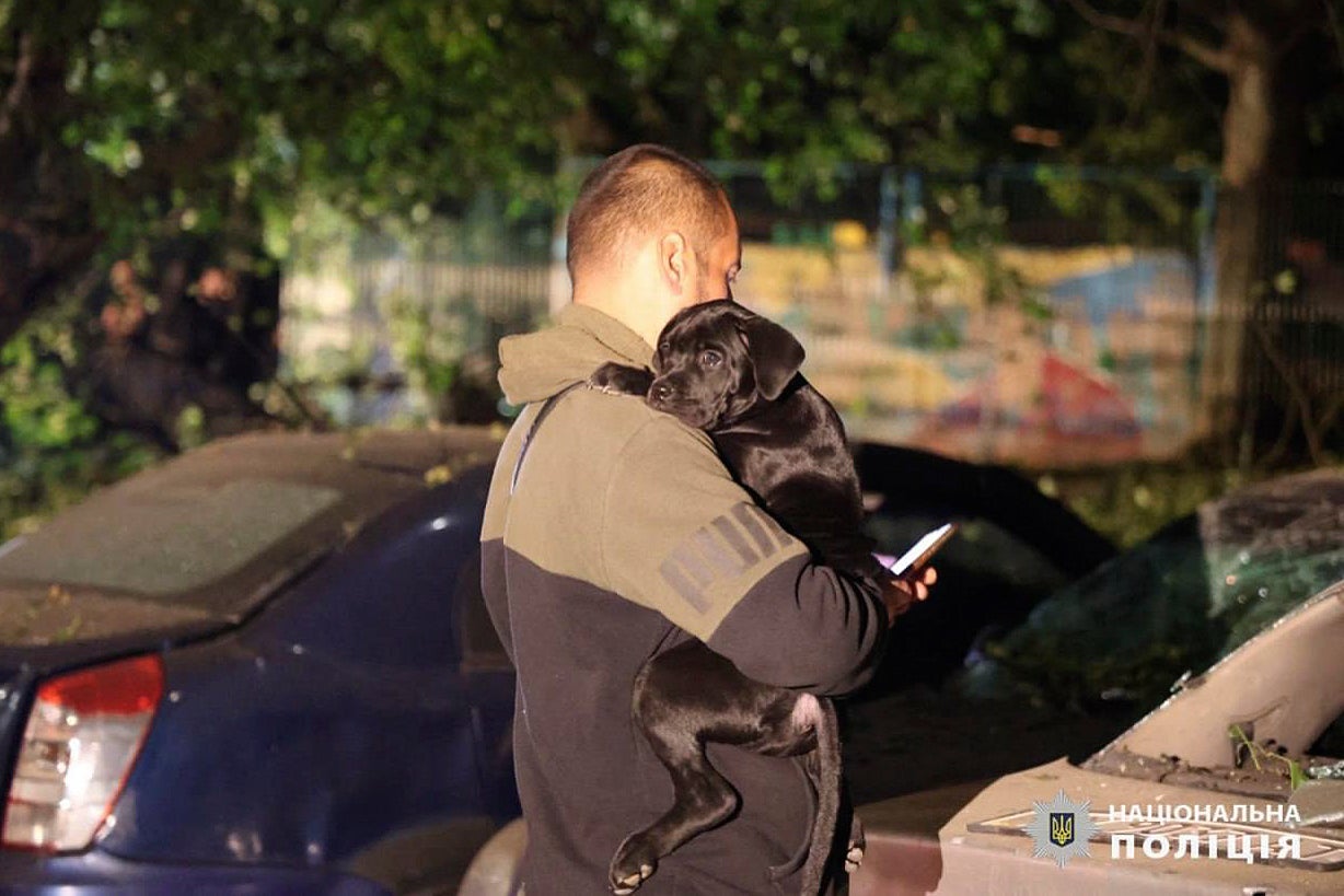 A man holds his puppy close following the strike