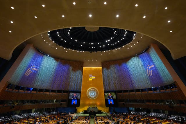 UN General Assembly