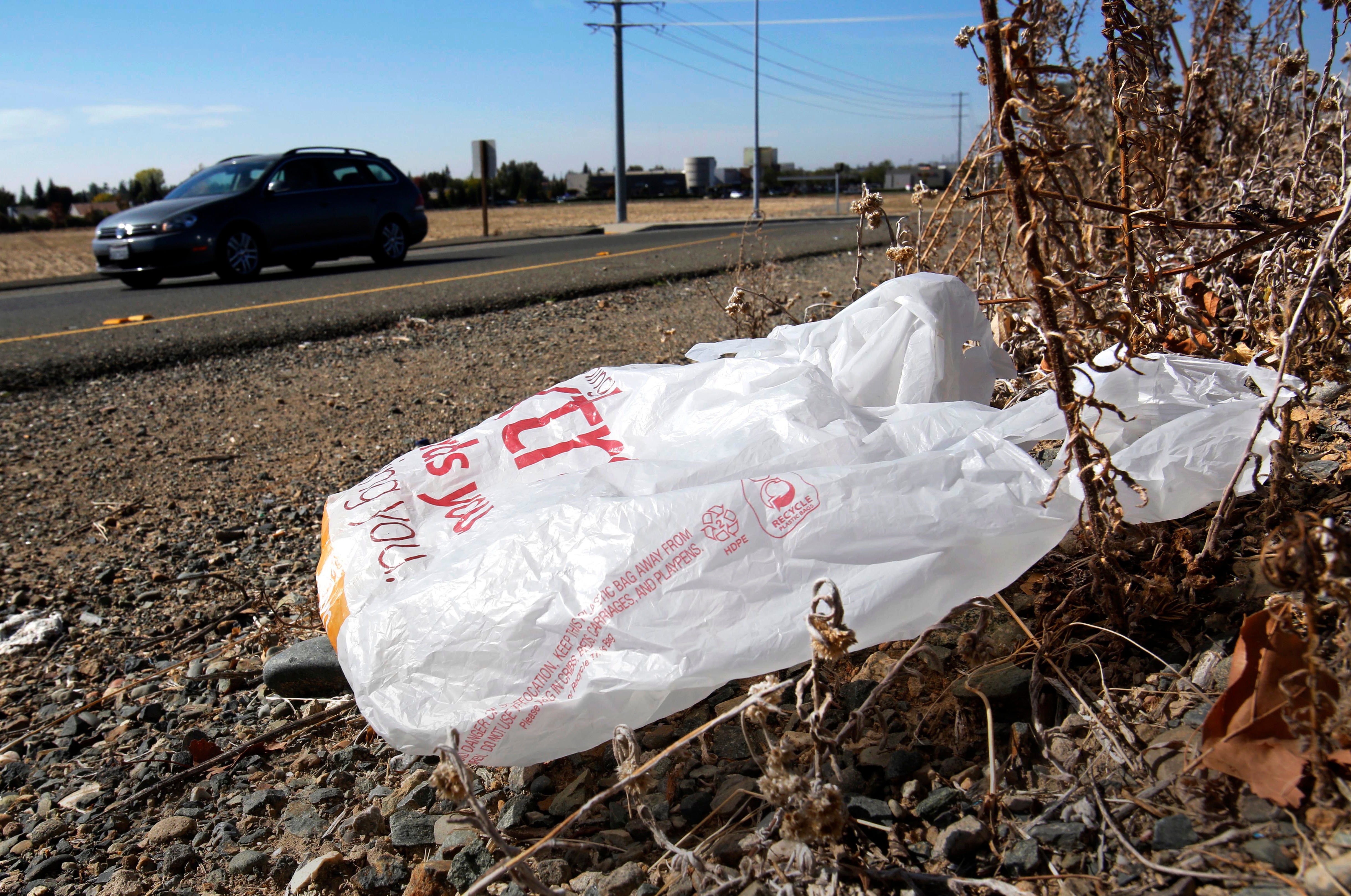 California Plastic Bag Ban