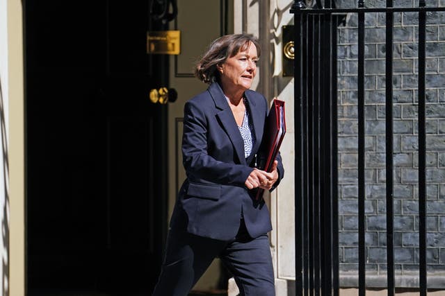 Welsh Secretary Jo Stevens is expected to announce new UK and Welsh government partnership on the NHS (Jordan Pettitt/PA)