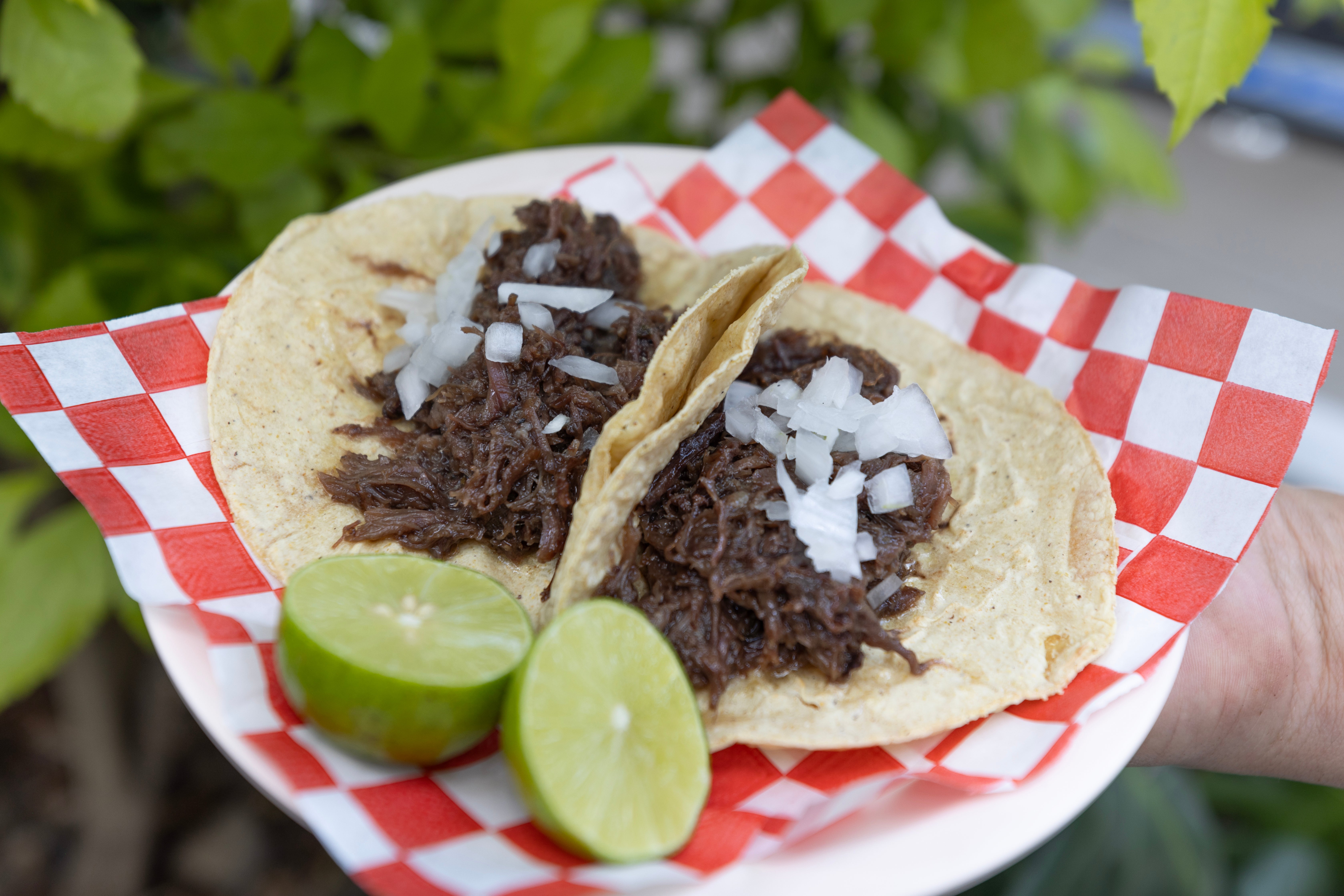 Tacos at Barbacoa Gonzalitos