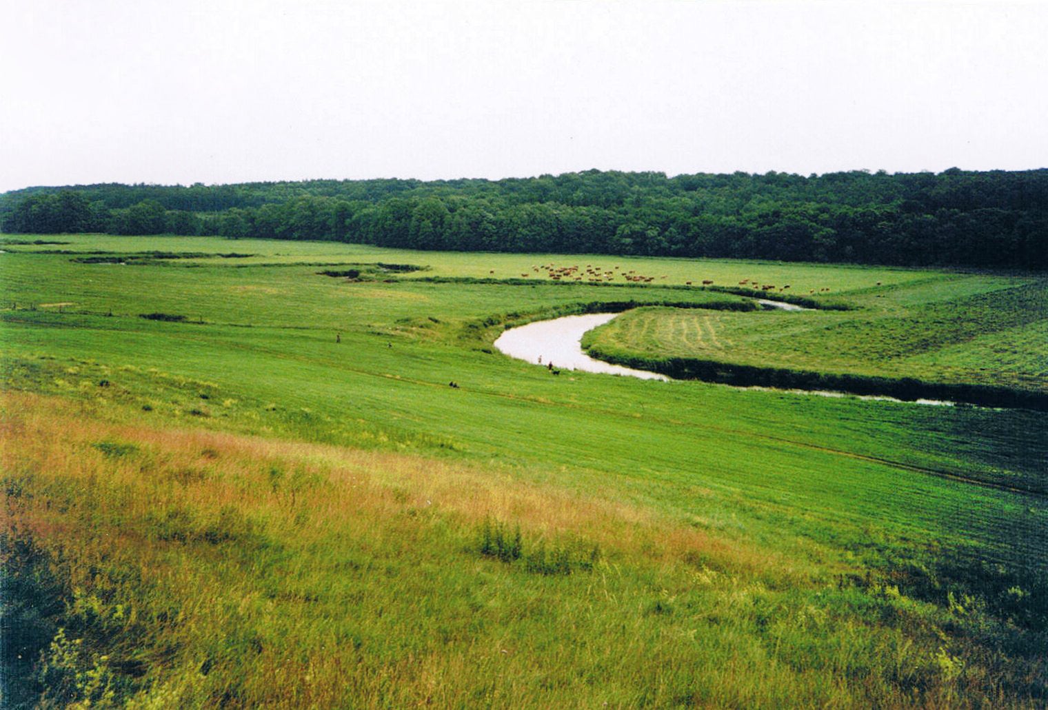 Germany’s Tollense Valley was the site of a major inter-regional battle