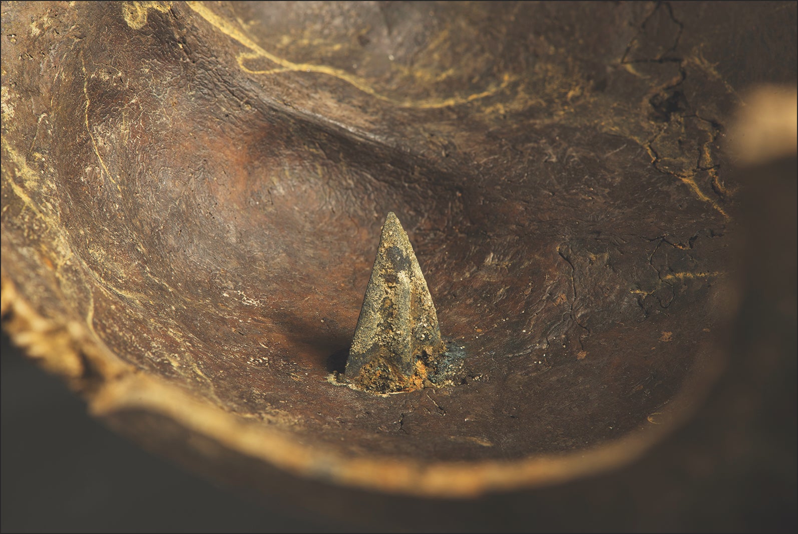 The inside of a Bronze Age warrior’s skull, showing how it had been penetrated by a lethal enemy bronze arrowhead