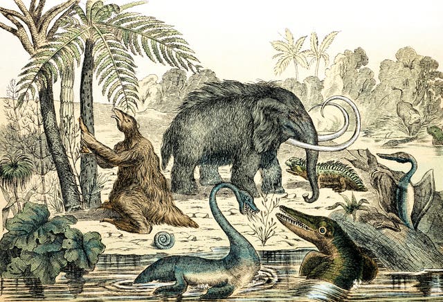 <p>Some prehistoric creatures delight in their uncharacterised status, apparently oblivious to the presence of the artist, whose notebook was discovered nearby, though he was not </p>