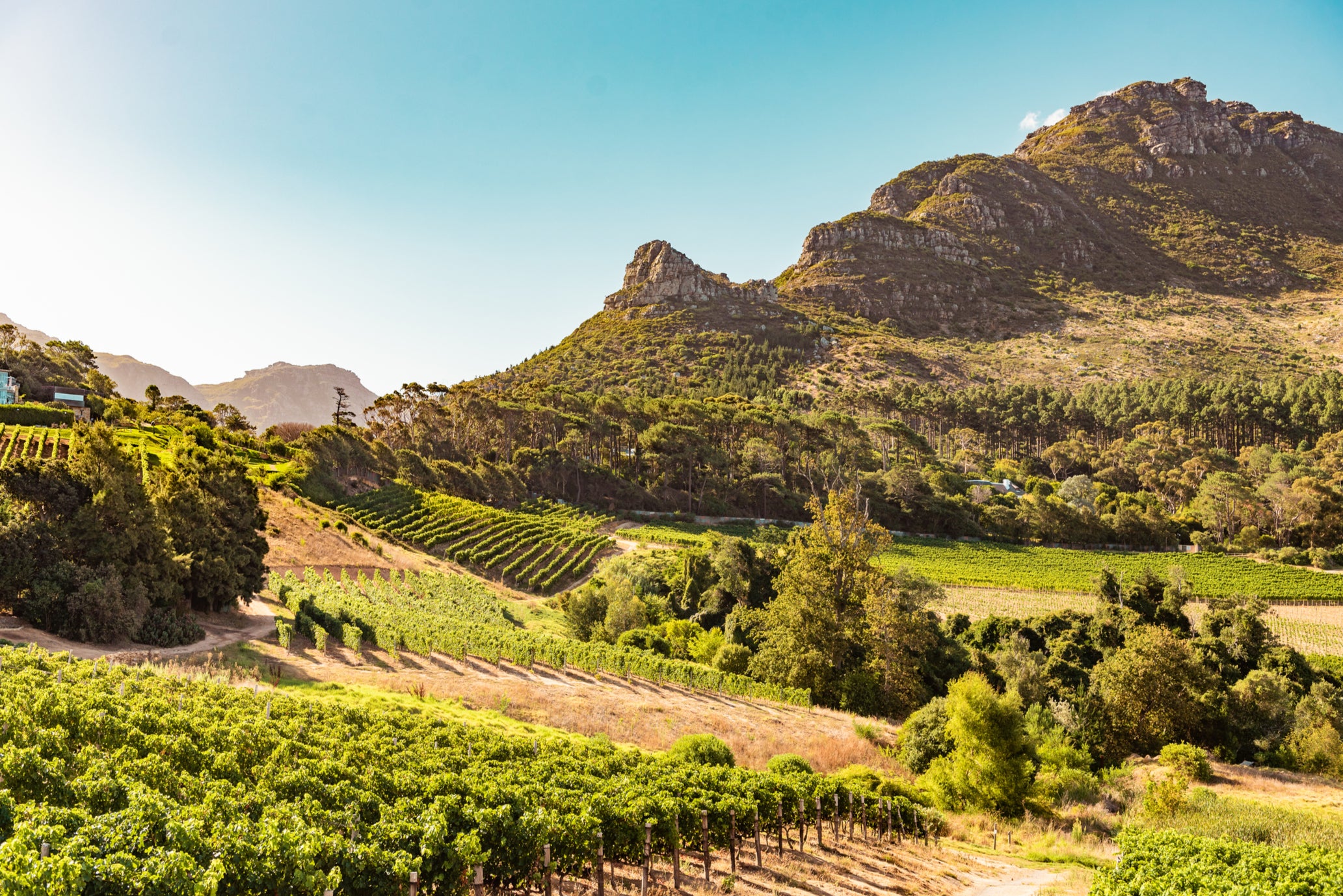 Venture outside Cape Town for some of the regions best vineyards for a spot of wine tasting