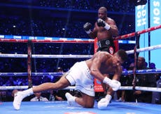 Anthony Joshua offers brutal assessment of Daniel Dubois seconds before knockout