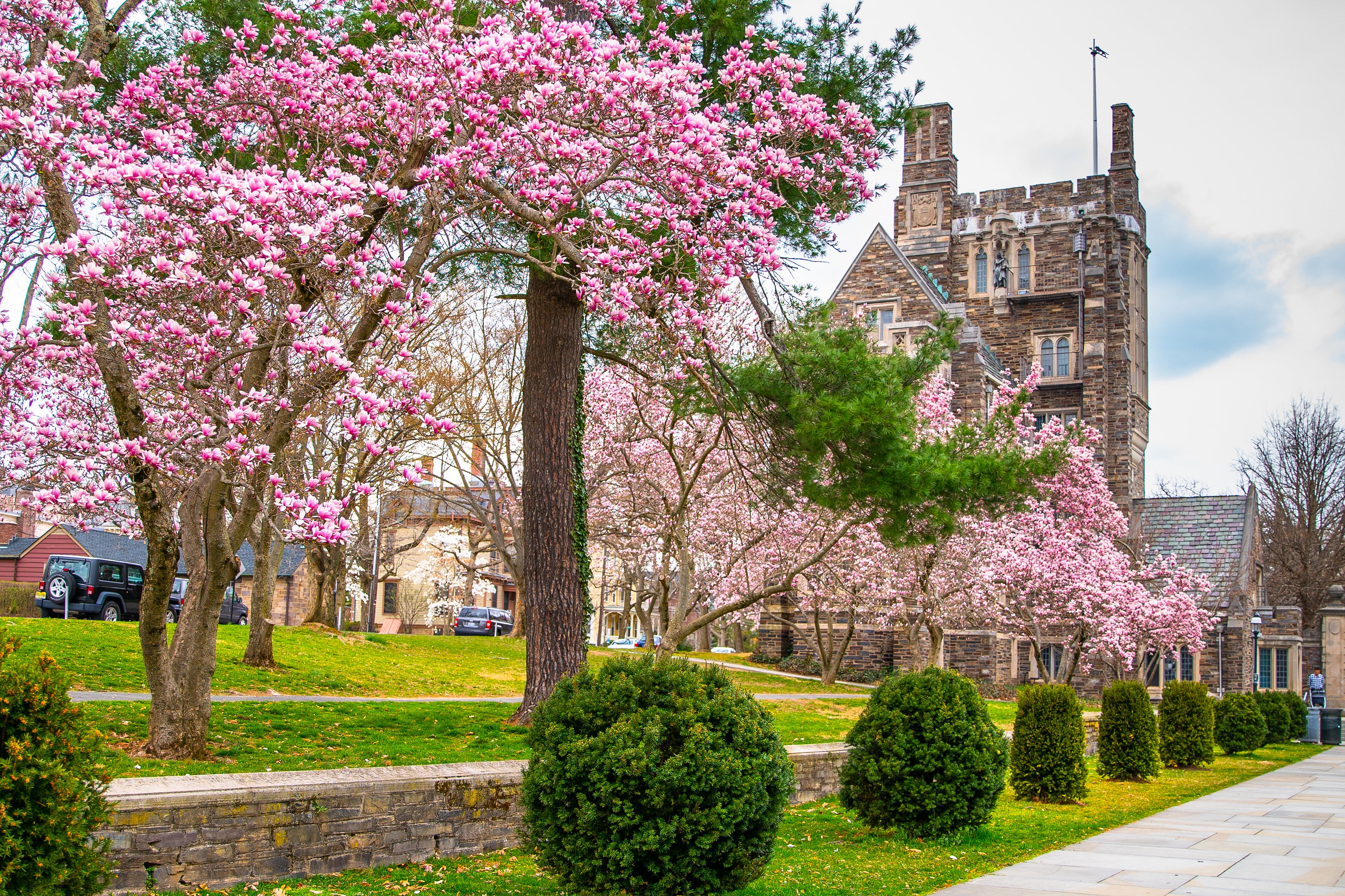 Princeton University (pictured) retained its top spot on the ‘The U.S. News and World Report’s’ ranking