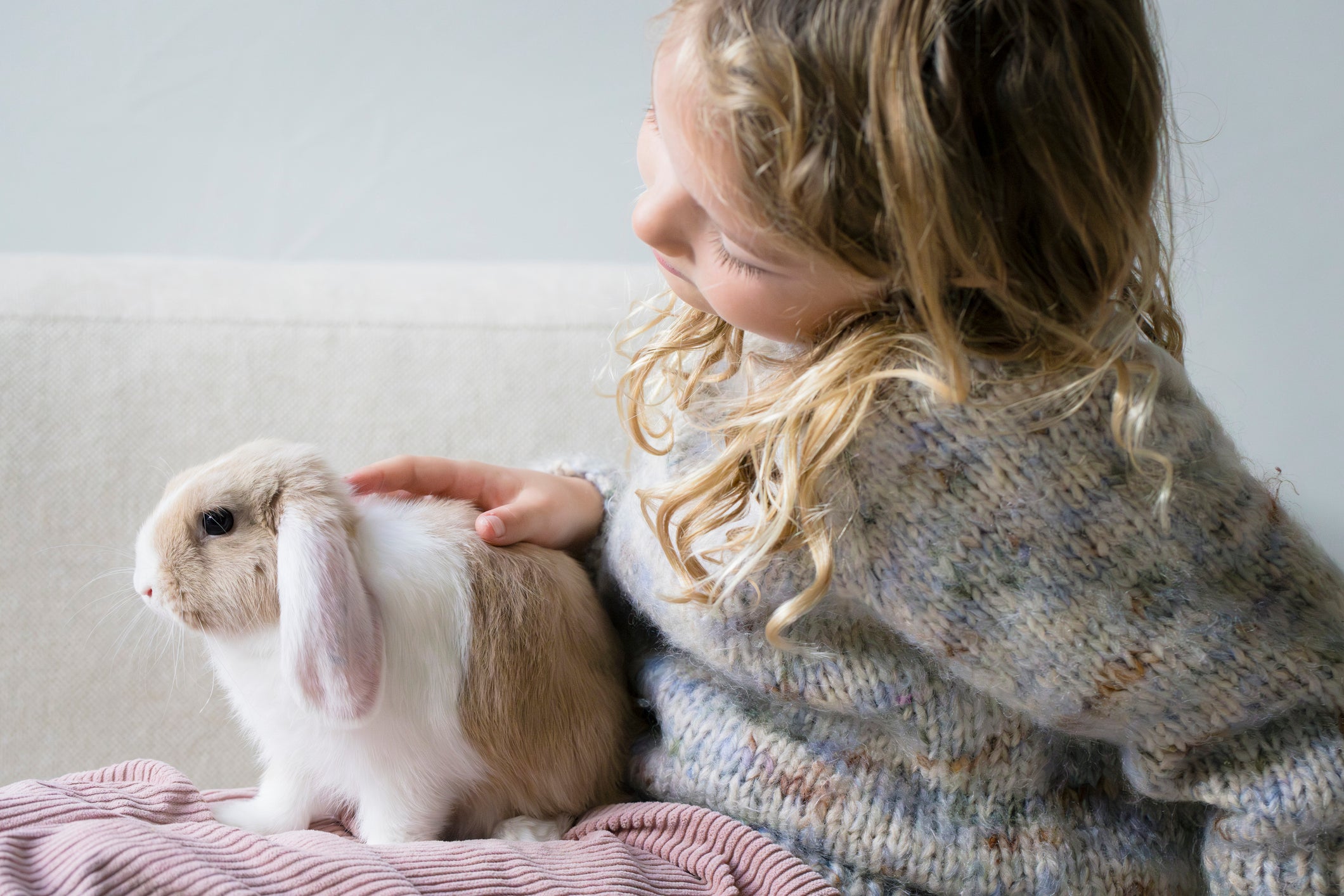 Children often lose interest in pet rabbits, according to the MSPCA-Angell organization