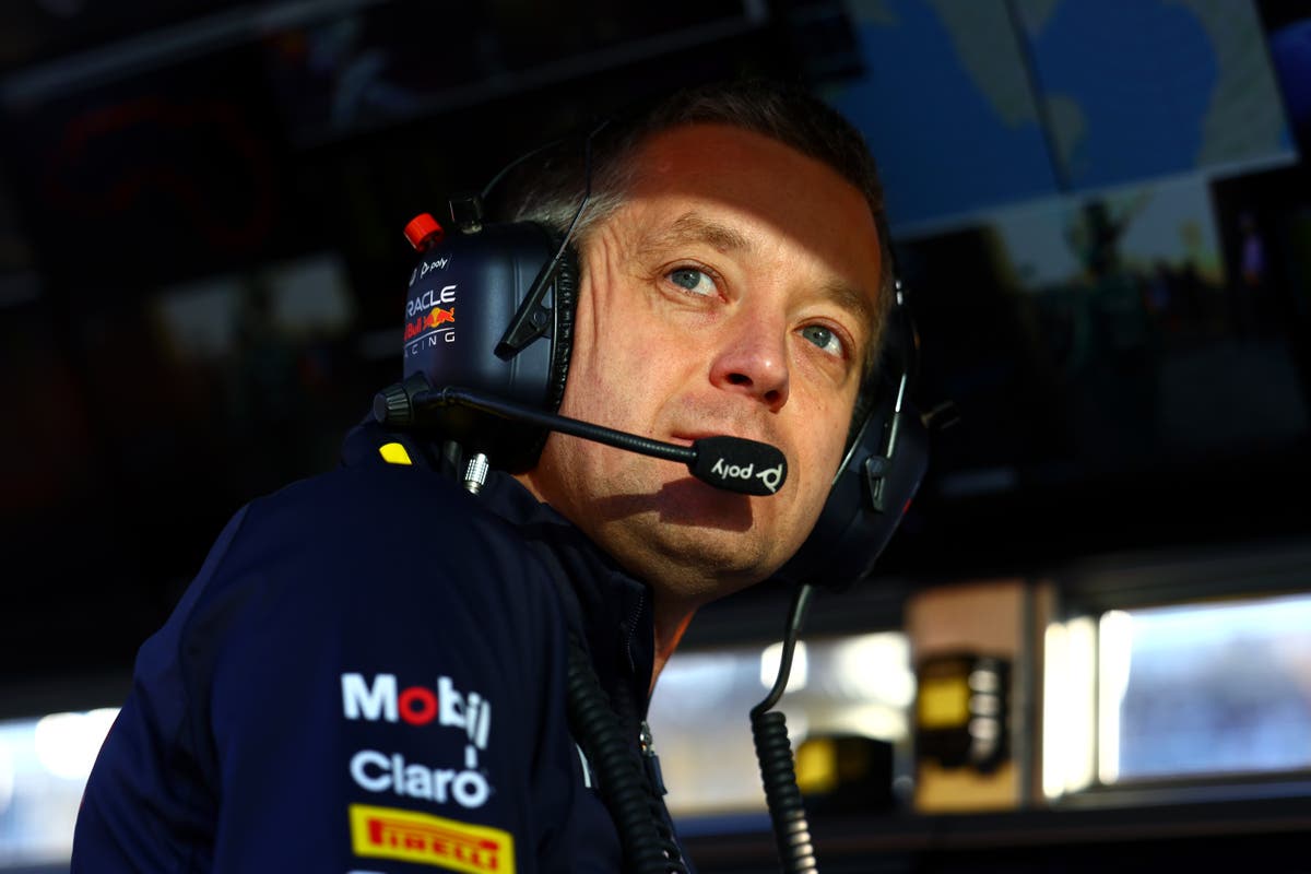 McLaren poach Red Bull strategy chief as Horner loses another key asset