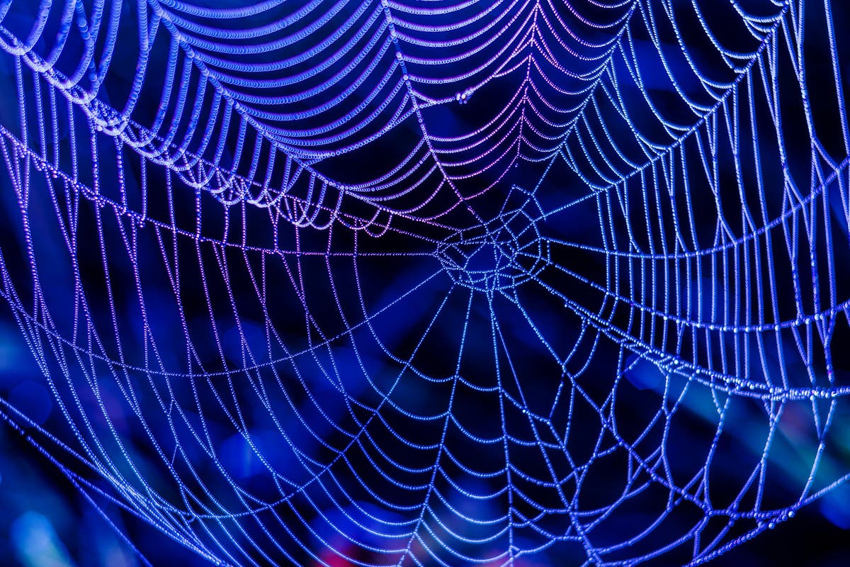 Scientists spin artificial spider webs to treat chronic wounds