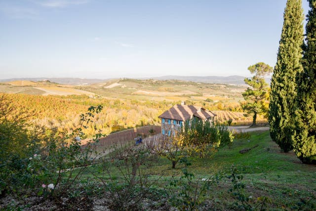 <p>Don’t settle for just sampling wines; immerse yourself completely in the wine-making experience with these Airbnb vineyard getaways </p>