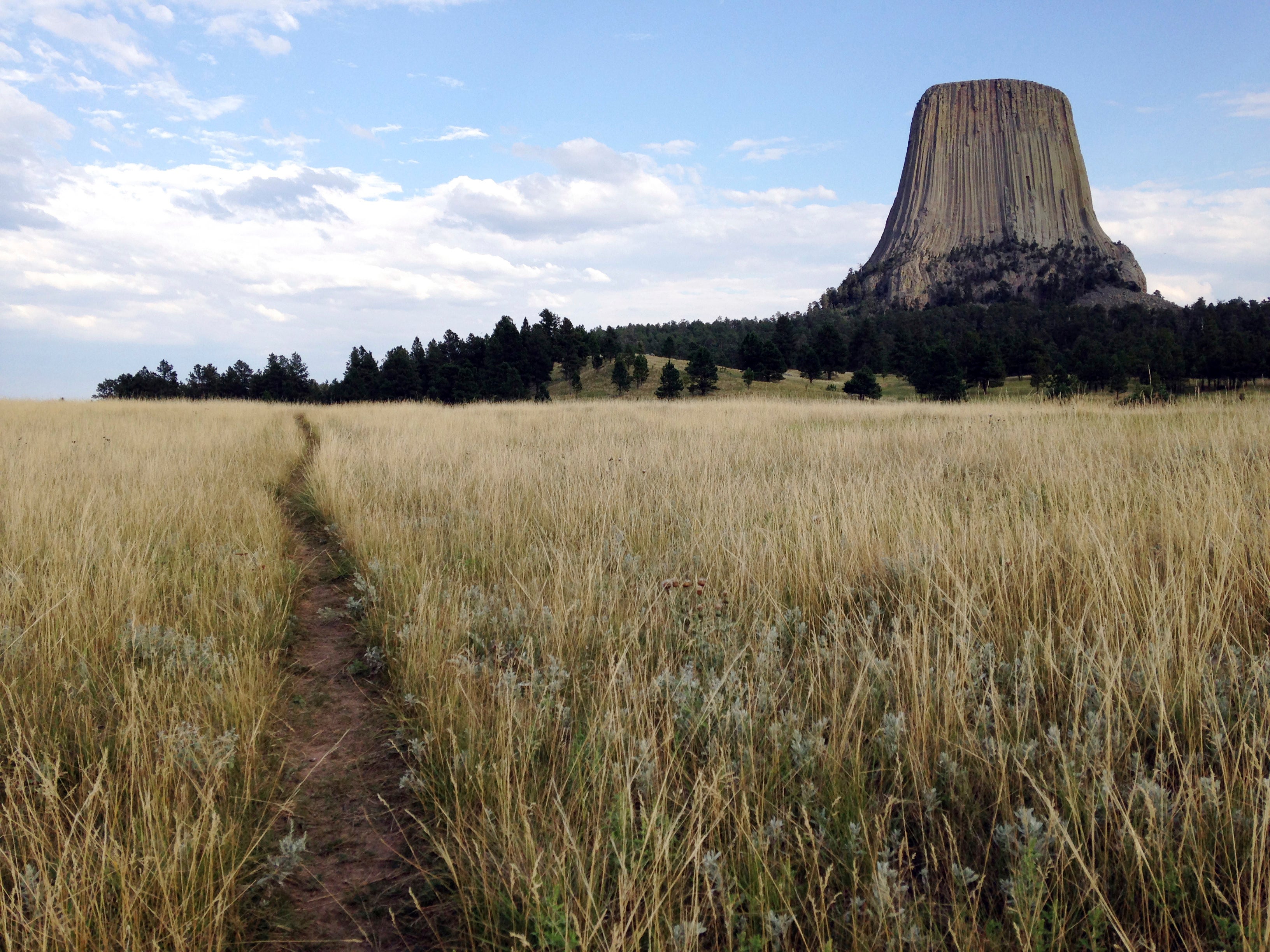 Devils Tower Climber Death