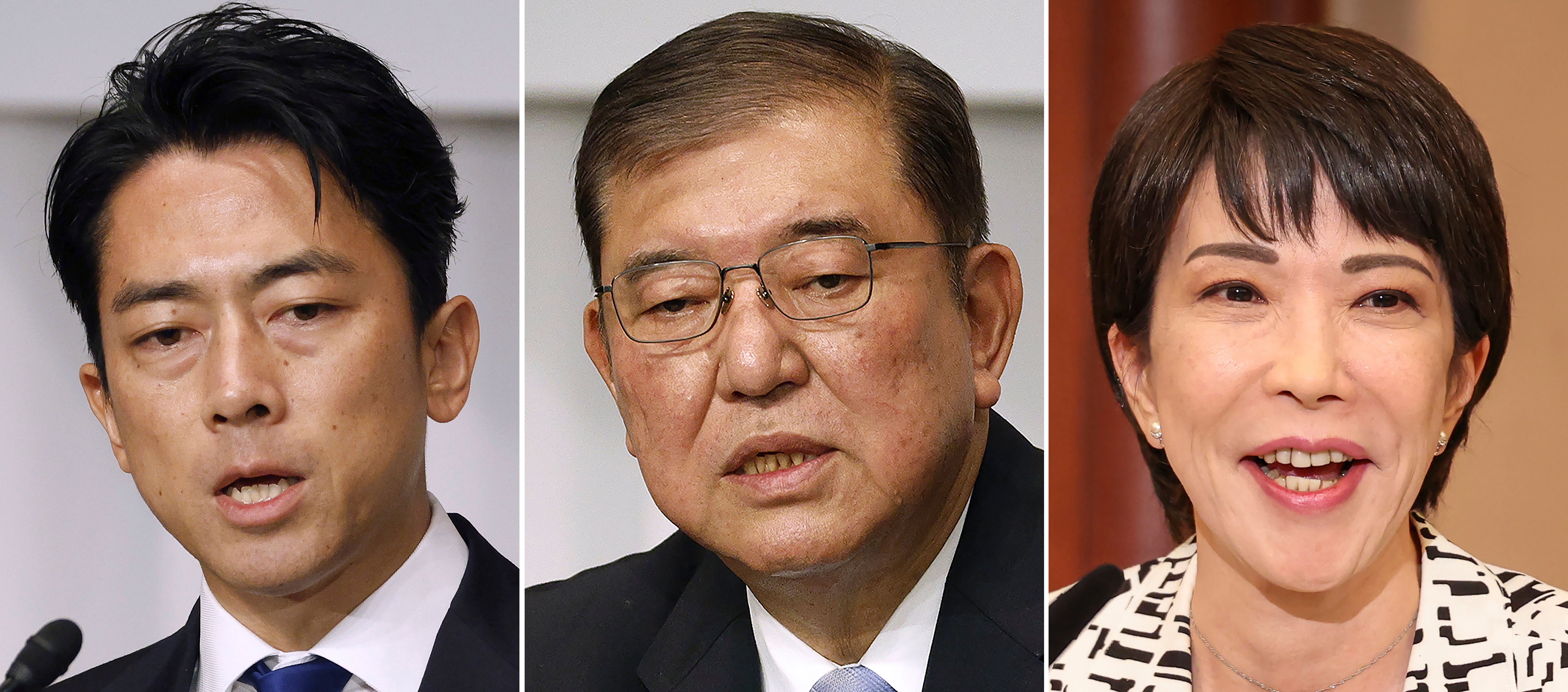 Japan Politics Election Explainers