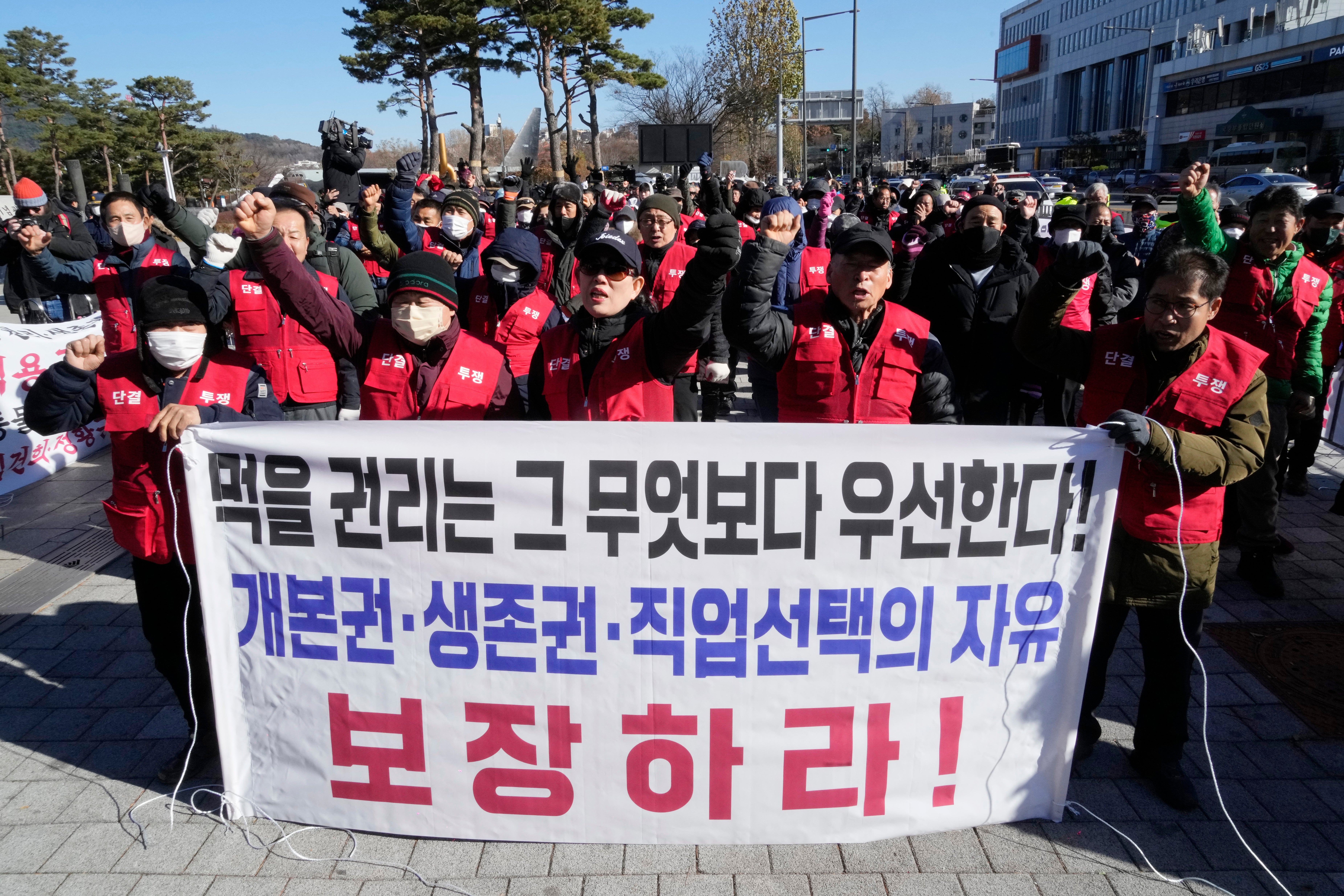 South Korea Dog Meat