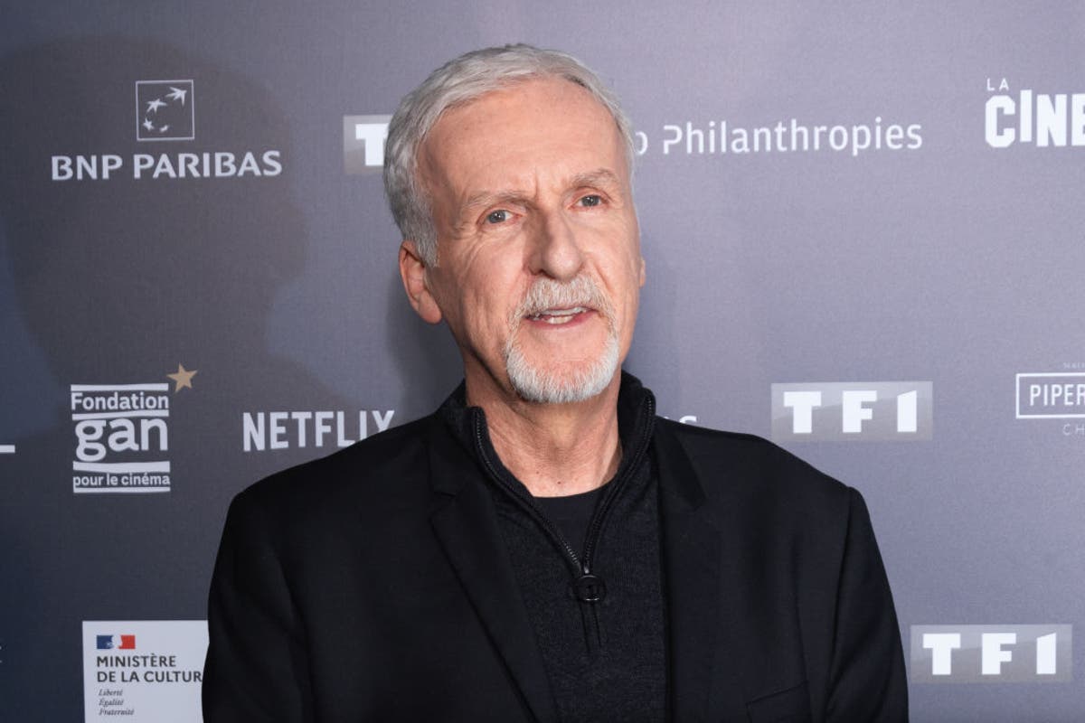 The Terminator director James Cameron criticised for joining AI company: &lsquo;Incredibly depressing&rsquo;