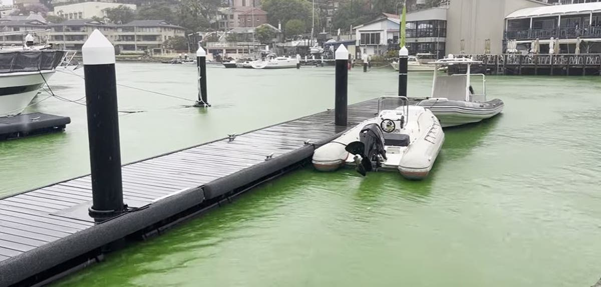 Sydney Harbour water turns bright green after &lsquo;bucket-full&rsquo; of dye gets into waterways