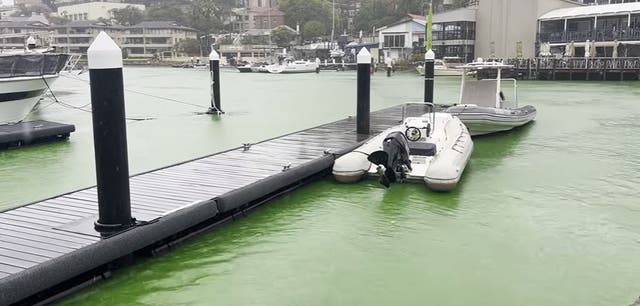 <p>Sydney harbour water turns green</p>