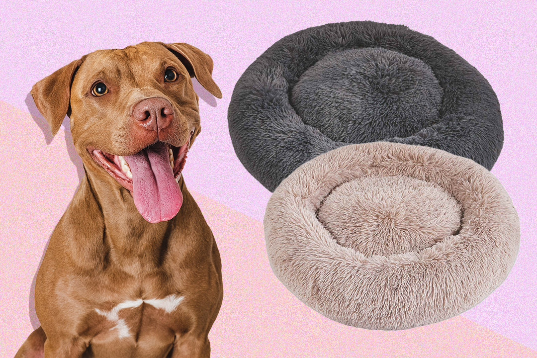 The raised rim of the bed will support your pet’s head and neck while they’re snoozing