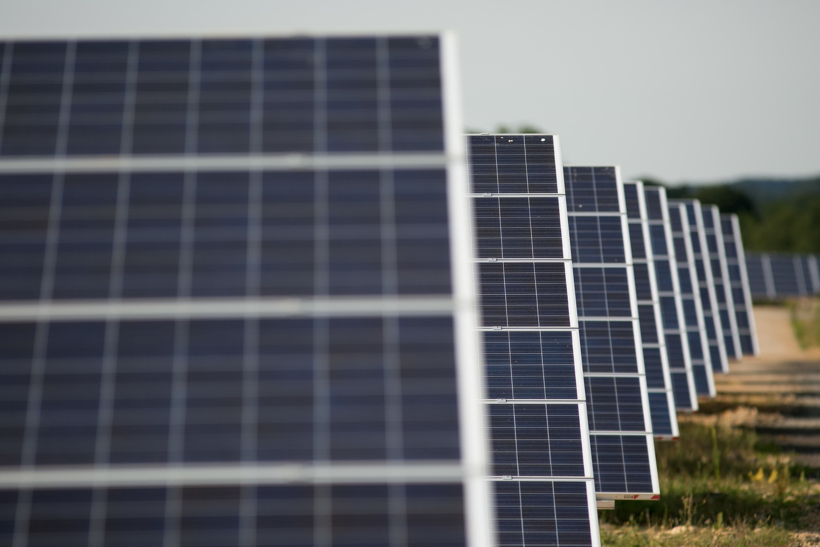 Octopus has bought four solar farms across England to kick off the investment drive (Daniel Leal-Olivas/PA)